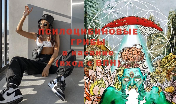 герыч Осинники