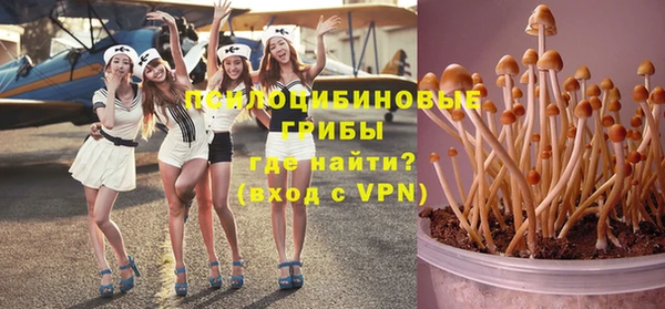 PSILOCYBIN Осташков