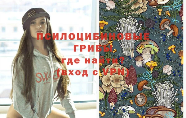 твердый Переславль-Залесский