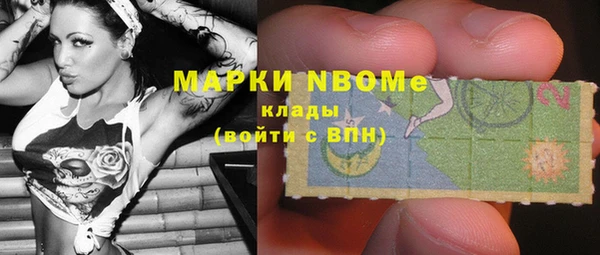 дурь Пестово