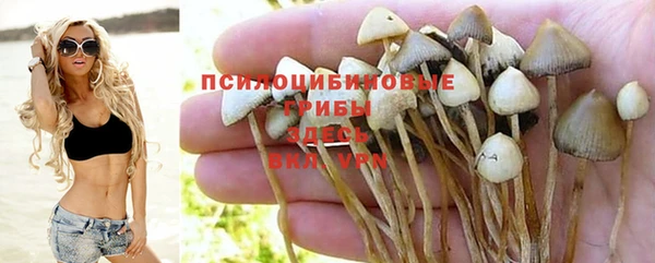 герыч Осинники