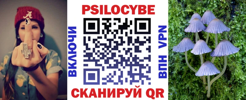 купить наркотик  KRAKEN ссылка  Псилоцибиновые грибы прущие грибы  Луза 